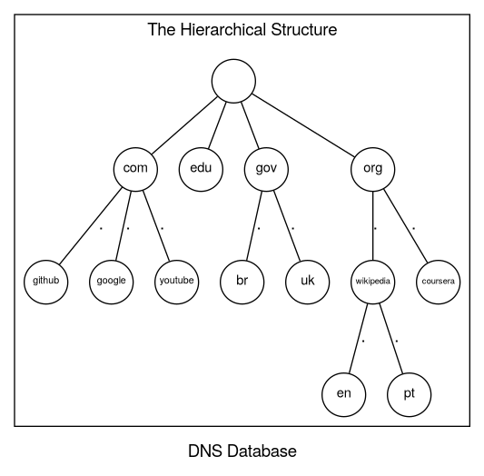 dns_structure.png